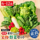 【ふるさと納税】【期間限定】新鮮・愛情たっぷり果物&野菜セット|送料無料 野菜 やさい 果物 くだもの フルーツ 旬 野菜果物 詰め合わせ セット 採れたて 新...