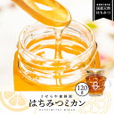 5位! 口コミ数「1件」評価「5」はちみつミカン120g(1本)　【加工食品 果物類 みかん 柑橘類】