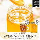 【ふるさと納税】はちみつミカン5本(120g×5本)とはちみつ5本(450g×5本)セット【RY-12】|送料無料 国産 はちみつミカン はちみつ ハチミツ 蜂...
