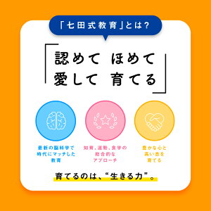 【ふるさと納税】 江津市限定返礼品 七田式プリントD 5歳半～就学前 SC-52 【しちだ 七田式 プリント 5歳 6歳 就学前 幼児 教育 学習 教材 ちえ もじ かず 】