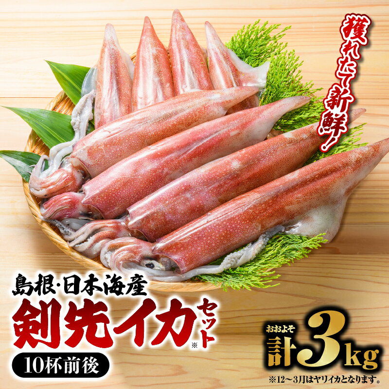 39位! 口コミ数「0件」評価「0」鮮魚セットC YM-3【 のどぐろ2～4尾 計約600g 島根 山陰 日本海産 】