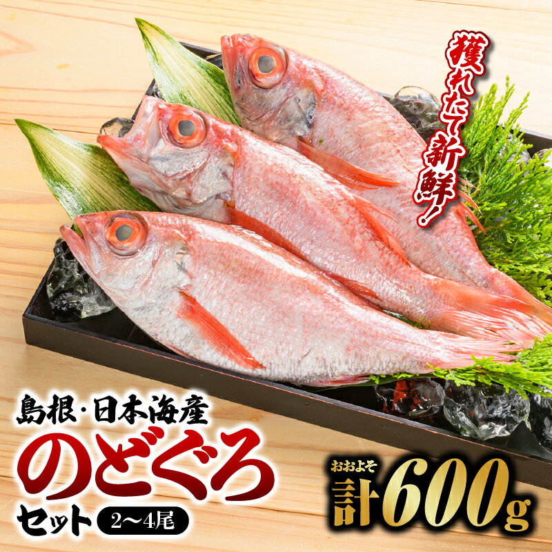 6位! 口コミ数「0件」評価「0」鮮魚セットD のどぐろ2～4尾 計約600g YM-4【島根 山陰 日本海産 ノドグロ 魚 魚介 魚介類 】