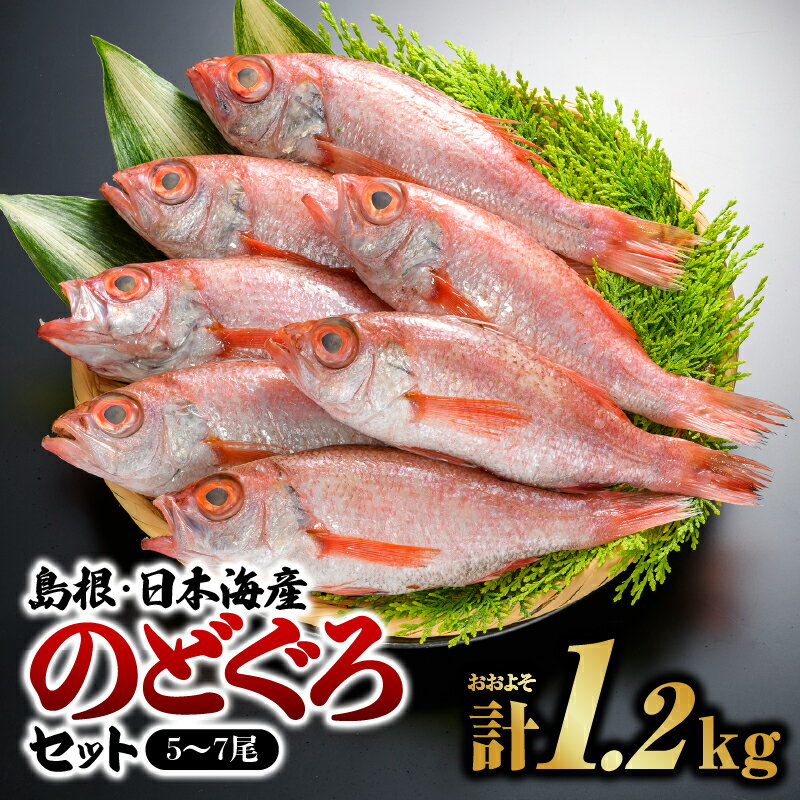 【ふるさと納税】鮮魚セットF YM-6【配送不可：離島】　【魚貝類 のどぐろ 魚 魚介類】　お届け：8月下旬～翌年5月末(6月～8月下旬まで禁漁のため)