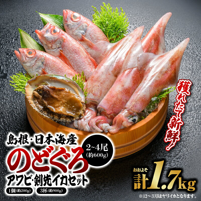 【ふるさと納税】鮮魚セットA YM-1【のどぐろ アワビ イカ 島根 山陰 日本海産 魚貝類 魚介類 貝】