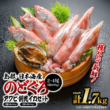 鮮魚セットA YM-1【のどぐろ アワビ イカ 島根 山陰 日本海産 魚貝類 魚介類 貝】