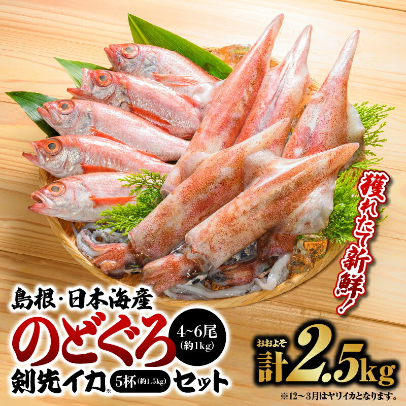 名称 のどぐろ、イカ 内容量 のどぐろ4〜6尾(約1kg) 剣先イカ約300g×5(12月〜3月はヤリイカとなります。漁獲状況により変更になる場合があります。) ●納期の指定はできません。またご希望時間帯は午前中は承れません。 産地 島根県産 事業者 山田鮮魚店 配送方法 冷蔵配送 お届け時期 8月下旬～翌年5月末(6月～8月下旬まで禁漁のため) 備考 ※画像はイメージです。 ※納期の指定はできません。またご希望時間帯は午前中は承れません。 ※出荷日より翌々日着のエリアが変更になりました。ご了承いただいた上でお申し込みください。（出荷から翌々日着エリア：北海道、青森、岩手、秋田、宮城、山形、福島、沖縄） ※離島への発送はできません。予めご了承ください。 ※出荷時期になりましたら、別途メールにてお届けについてのご案内をさせていただきます。 ※お客様の都合により商品を受け取れなかった場合、または受け取りまでに期間がかかった場合は、生鮮品につき返品・再配送は致しかねますので予めご了承ください。 ※商品受取後すぐに商品の状態をご確認し、不良の場合、お問合せセンターまでご連絡ください。お時間が過ぎてからの対応は致しかねます。 ※水揚げ、漁獲ごとに大きさや数量にバラつき（変動）がある場合がございます。 ※生鮮品につき、到着後すぐにお召し上がりください。 ※消費期間：出荷日より冷蔵4日。4日目以降は冷凍で保存してください。冷凍の場合は出荷日より1か月間。※5月下旬のお申込み(寄付ご入金)は、発送が9月以降になる場合がございます。予めご了承ください。 ※6/1〜8月下旬は出荷不可となります。予めご了承ください。 ※12月の受付は10日までとなります。12月11日以降のお申込み(寄付ご入金)は、発送が翌1月10日以降となります。予めご了承ください。 ・ふるさと納税よくある質問はこちら ・寄附申込みのキャンセル、返礼品の変更・返品はできません。あらかじめご了承ください。【ふるさと納税】鮮魚セットB YM-2【のどぐろ イカ 島根 山陰 日本海産 魚貝類】 配送不可：離島 日本海ののどぐろは、脂が乗って、煮付けても焼いてもおいしいです。 これに勝る魚はありません。 剣先イカ(白イカまたはマイカ)は甘みが強く歯ごたえがあり、刺身にすると絶品です。 下処理した状態でお届けします。 寄附金の用途について ふるさとの子供たちがすくすくと育ち、安心して暮らせるための事業 ふるさとの人々がイキイキと、暮らし続けていくための事業 江の川が育み人麻呂が愛したふるさとの自然、景観を活かした事業 大元神楽、石見神楽等、ふるさとの伝統芸能、文化の伝承に関する事業 江の川の豊かな恵みを活かした交流を通じて人々が元気になる事業 自治体におまかせ 受領証明書及びワンストップ特例申請書のお届けについて 【受領証明書】 受領証明書は、ご入金確認後、注文内容確認画面の【注文者情報】に記載の住所にお送りいたします。 発送の時期は、寄附確認後1〜2週間程度を目途に、お礼の品とは別にお送りいたします。 【ワンストップ特例申請書について】 ワンストップ特例をご利用される場合、1月10日までに申請書が当庁まで届くように発送ください。 マイナンバーに関する添付書類に漏れのないようご注意ください。 申請書のダウンロードはこちら