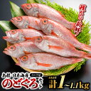 【ふるさと納税】鮮魚セットF のどぐろ 5〜7尾(約1kg〜1.1kg)|漁解禁 受付再開 のどぐろ ノドグロ 魚 さかな 焼き魚 島根 山陰 日本海産 魚介類...