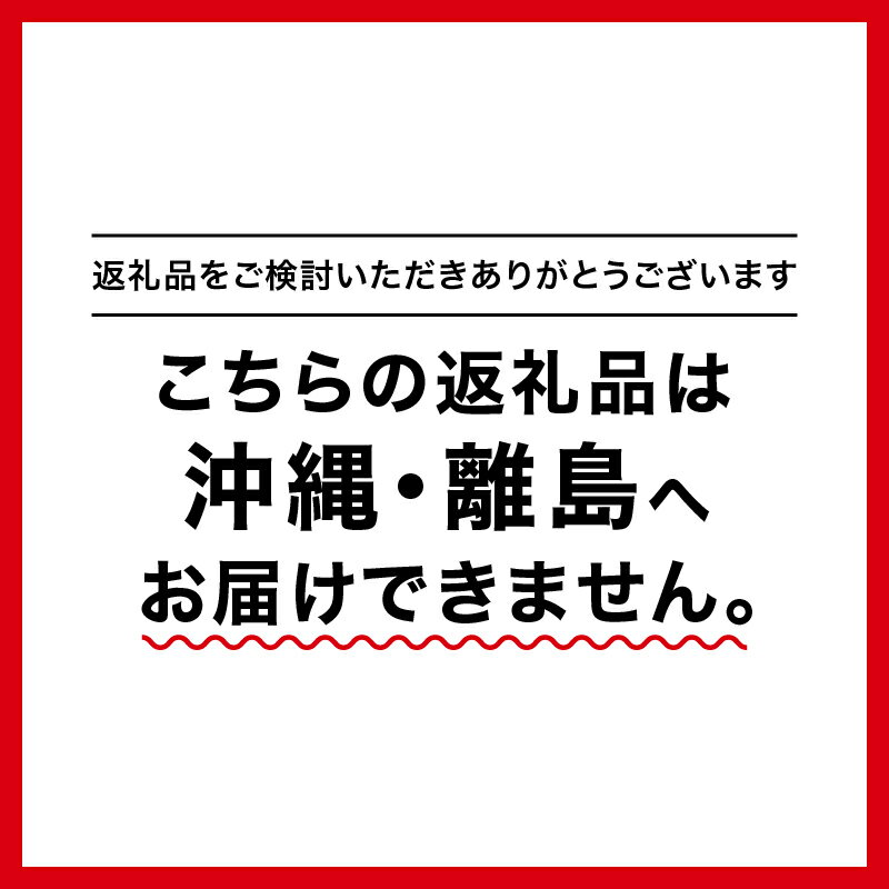 【ふるさと納税】大亀醤油　濃口うす塩　1L　6本セット YS-1　【しょうゆ 醤油】 2