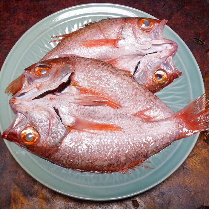 【ふるさと納税】島根特産・海と山の幸のコラボ！驚きの美味さ《のどぐろ塩糀漬け》