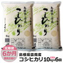 4位! 口コミ数「0件」評価「0」【定期便6か月連続お届け】島根県「雲南産コシヒカリ」10kg（5kg×2）