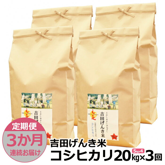 【ふるさと納税】【定期便3か月連続お届け】「吉田げんき米」コシヒカリ20kg（5kg×4）