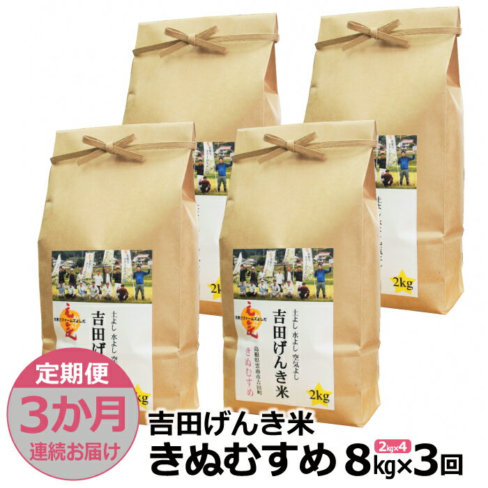 [定期便3か月連続お届け]「吉田げんき米」きぬむすめ8kg(2kg×4)