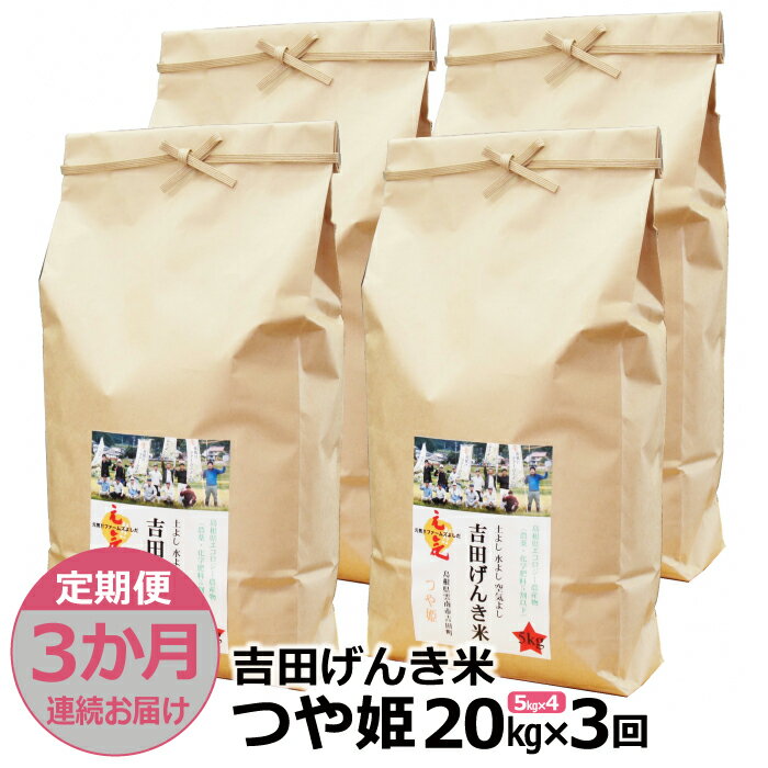 34位! 口コミ数「0件」評価「0」【定期便3か月連続お届け】「吉田げんき米」つや姫20kg（5kg×4）