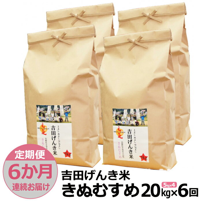 66位! 口コミ数「0件」評価「0」【定期便6か月連続お届け】「吉田げんき米」きぬむすめ20kg（5kg×4）