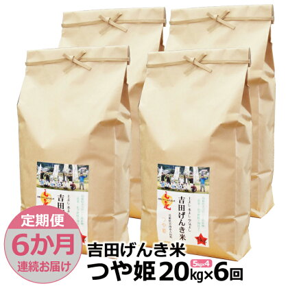 【定期便6か月連続お届け】「吉田げんき米」つや姫20kg（5kg×4）