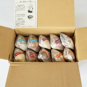 【ふるさと納税】西八製菓 ニッキ貝 10個 安心 安全 懐かしい レトロなお菓子 大人買い