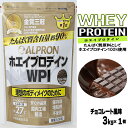 【ふるさと納税】 WPI ホエイプロテイン チョコレート風味 3kg/チョコ アルプロン 島根県産 雲南市産 ホエイ 高たんぱく質 大容量 加工食品 健康食品 美容 ダイエット 体づくり 筋トレ パフォーマンスアップ 国産 砂糖不使用 保存料不使用 増粘剤不使用
