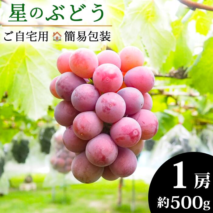 【ふるさと納税】＜令和6年夏発送・数量限定＞自然が育んだ 星のぶどう クイーンニーナ 1房 約500g ［ ご自宅用・簡易包装 ］／島根県 雲南市 フルーツ 果物 デザート ブドウ 葡萄