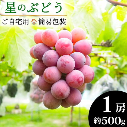 ＜令和6年夏発送・数量限定＞自然が育んだ「星のぶどう」クイーンニーナ 1房(約500g)［ ご自宅用・簡易包装 ］／島根県 雲南市 フルーツ 果物 デザート ブドウ 葡萄