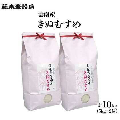 島根県「雲南産きぬむすめ」10kg（5kg×2） 米 コメ きぬむすめ 白米