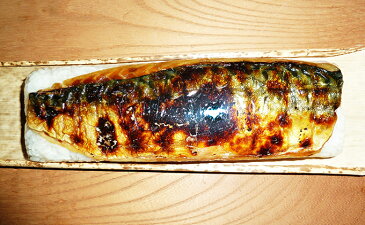 【ふるさと納税】焼き鯖棒寿司　2本入り　【魚貝・加工品・すし・ぼうずし・さば・サバ・押し寿司】