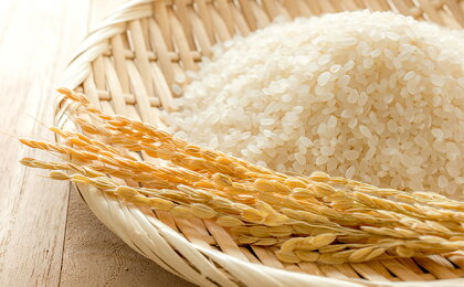 雲南産きぬむすめ15kg(5kg×3) 【米】