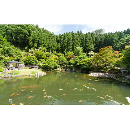 回遊式日本庭園「石照庭園」お食事付きペアチケット 【チケット/お食事券】