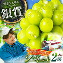 【ふるさと納税】【2025年先行予約】【数量限定】【贈答用】旬の味わいを産地直送で!シャインマスカット 2房(約1kg)秀品・化粧箱入り 島根県雲南市/ギアファ...
