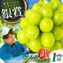 【ふるさと納税】【2025年先行予約】【数量限定】【ご自宅用】旬の味わいを産地直送で!シャインマスカット 1房(約500g)簡易包装 訳あり 島根県雲南市/ギア...