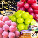 【ふるさと納税】【全3回定期便】【2025年先行予約】【数量限定】【秀品】毎月ぶどうをお届け!イチオシ3品種 各2房 島根県雲南市/ギアファーム[AIAB010...