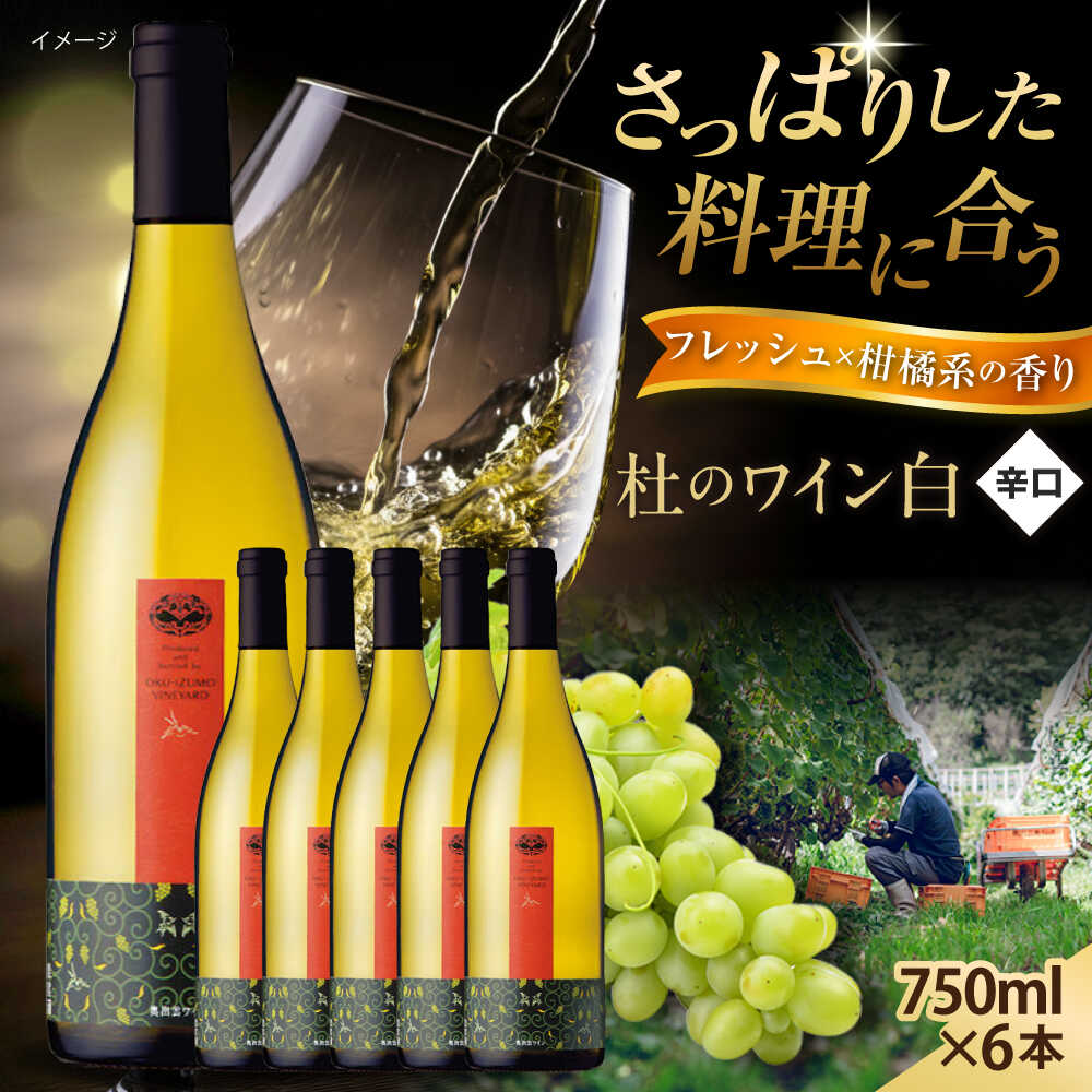 【ふるさと納税】杜のワイン白 6本セット 白ワイン 辛口 お酒 セット ぶどう 島根県雲南市/有限会社奥出雲葡萄園[AICS093]
