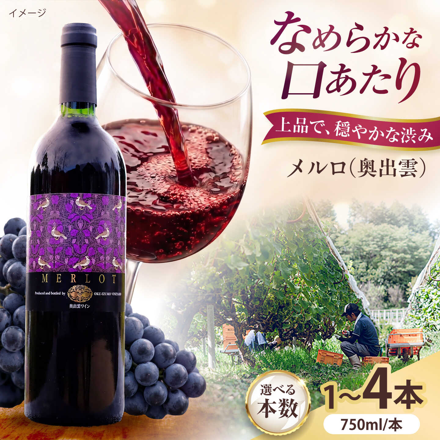 [選べる本数]奥出雲ワイン メルロ 750ml 赤ワイン 国産 島根県雲南市/有限会社奥出雲葡萄園[AICS094]