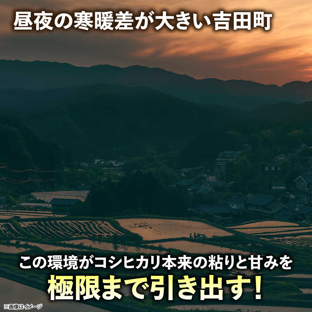 【ふるさと納税】米 「吉田げんき米」つや姫 定期便あり 選べる 内容量 2kg 5kg 10kg《内容量/お届け回数をお選びください》島根県 雲南市/有限会社藤本米穀店｜米 白米 精米 国産 お米 おこめ お弁当 おにぎり つやひめ ツヤヒメ[AIDB122]