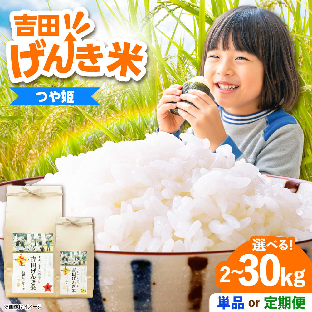 【ふるさと納税】米 「吉田げんき米」つや姫 定期便あり 選べる 内容量 2kg 5kg 10kg《内容量/お届け回数をお選びください》島根県 雲南市/有限会社藤...