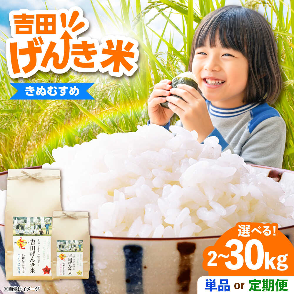 米 「吉田げんき米」きぬむすめ 定期便あり 選べる 内容量 2kg 5kg 10kg[内容量/お届け回数をお選びください]島根県 雲南市/有限会社藤本米穀店|米 白米 精米 国産 お米 おこめ お弁当 おにぎり きぬ娘 キヌムスメ[AIDB128]