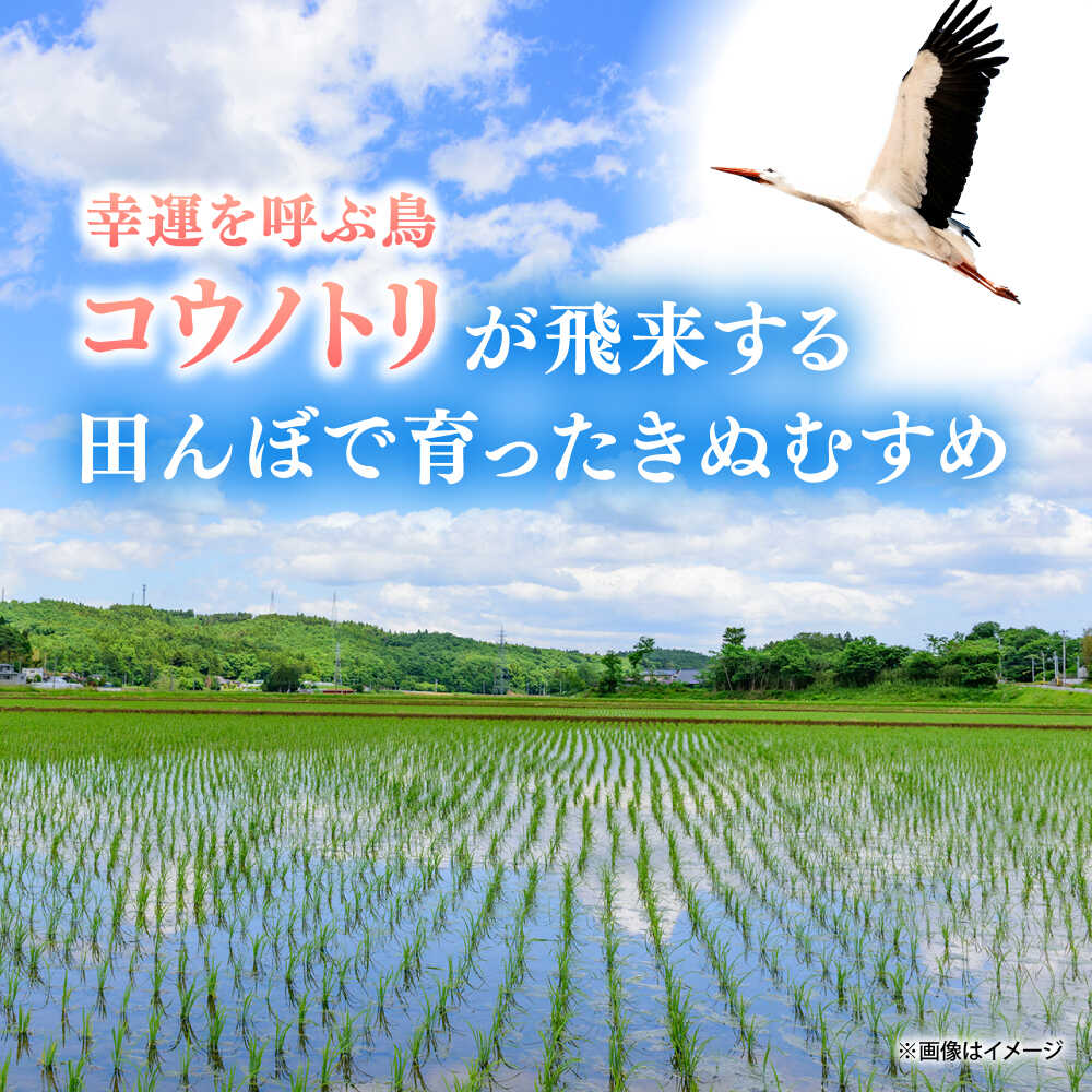 【ふるさと納税】米【新米】大月谷コウノトリやすらぎ米 ≪選べる容量2kg～30kg≫ 島根県雲南市/有限会社藤本米穀店 ｜定期便 単品 ブランド米 きぬむすめ 白米 精米 コメ 2キロ 5キロ 10キロ 15キロ 30キロ ご飯 白米 人気 おすすめ[AIDB134]