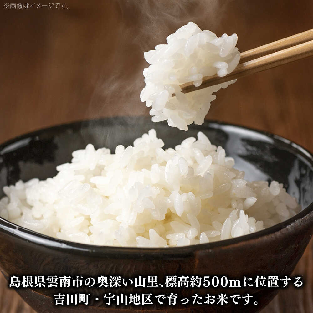 【ふるさと納税】 米 無洗米 白米 選べる！ 米 お米 ご飯 ごはん ライス 定期便 単品 新米 コシヒカリ 5kg 8kg 10kg うやま米 お米 こめ コメ 島根県産 ブランド米 5キロ 8キロ 10キロ 送料無料 人気 おすすめ ギフト プレゼント 島根県雲南市/藤本米穀店[AIDB018]