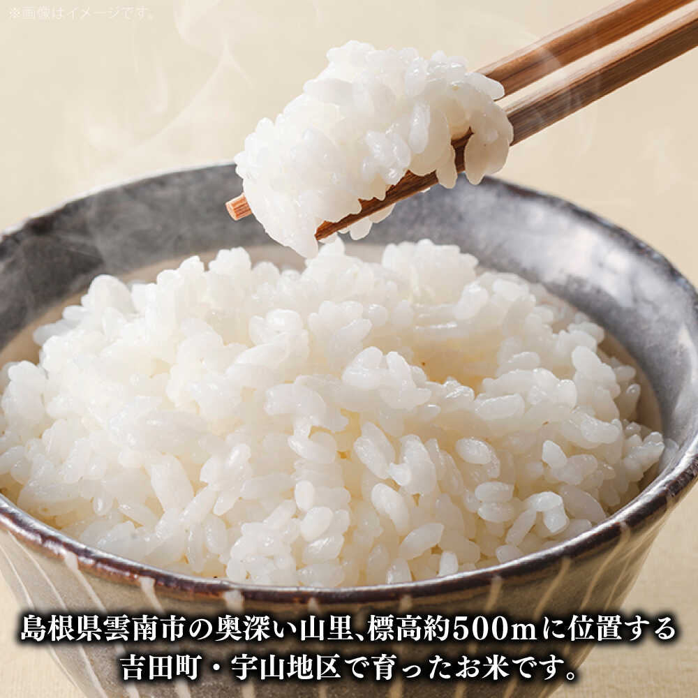 【ふるさと納税】無洗米 白米 選べる！ 米 定期便 単品 新米 つや姫 5kg 8kg 10kg うやま米 島根県 雲南市/藤本米穀店[AIDB086]