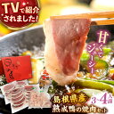 【ふるさと納税】テレビ番組で紹介されました!島根県産野草ミネラル熟成鴨の焼肉セット(3〜4人前) 【美味しい食べ方レシピ付き】鴨鍋 鴨肉 焼肉 しゃぶしゃぶ 島...