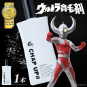 【ふるさと納税】薬用育毛剤チャップアップ CHAP UP 120mL1本 | 育毛 育毛ローション 薄毛 薄毛対策 脱毛予防 発毛 頭皮 髪質 抜け毛 男性 島...