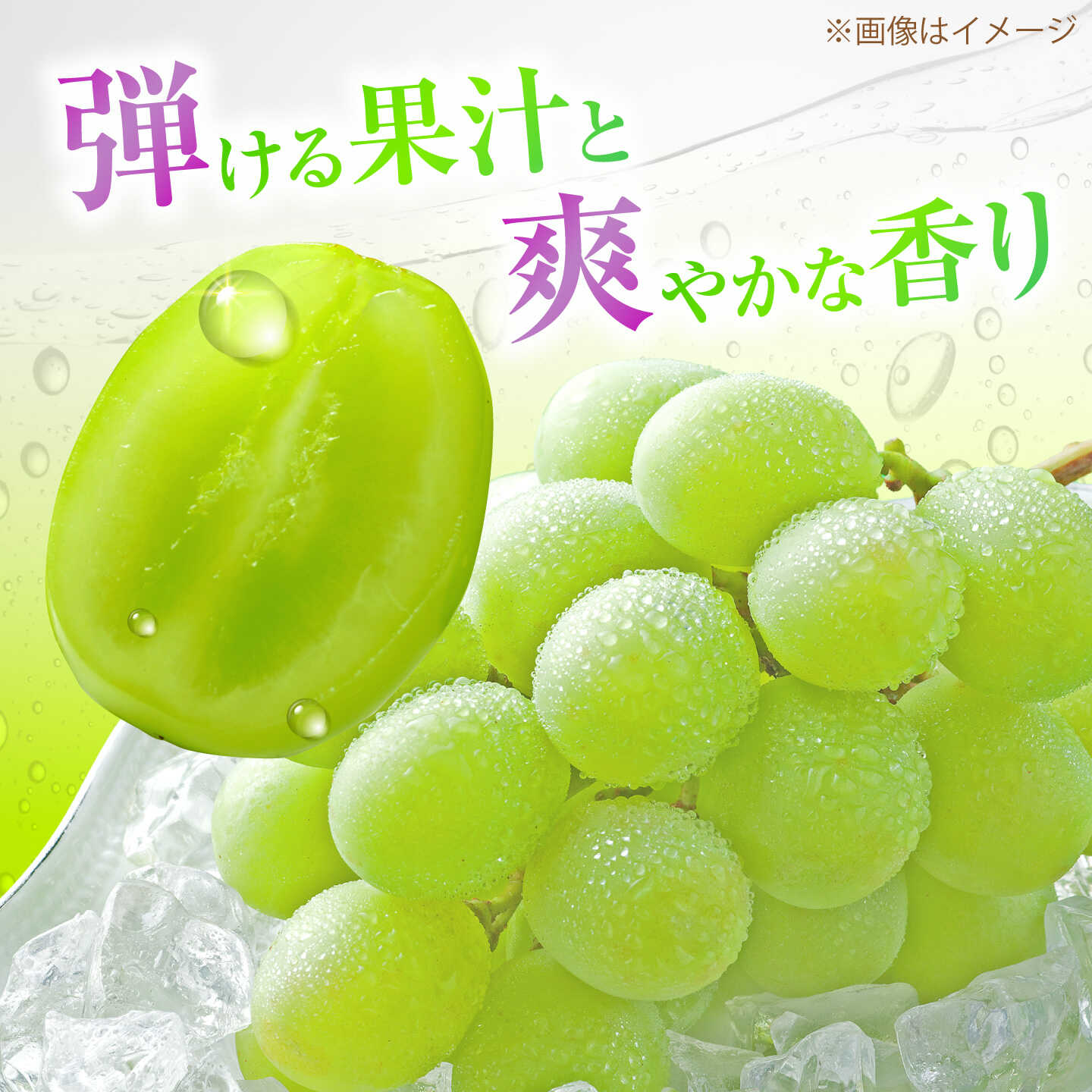【ふるさと納税】【先行予約】【50個限定】【2026年8月下旬以降順次発送】 【ご家庭用】シャインマスカット2房 島根県雲南市/なばらファーム[AIEU002] f322091-unnan-10001392 島根県雲南市 サンプル画像2