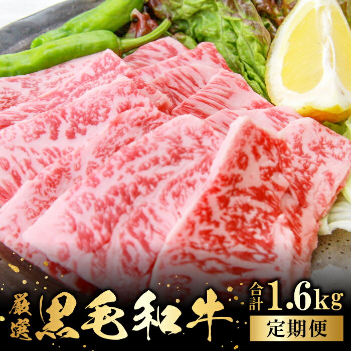 【ふるさと納税】 【定期便】 奥出雲和牛 肩ロース 焼肉用 400g 4回 合計1.6kg 4回定期 毎月お届け 国産 島根県産 飯南町産 肉 牛肉 和牛 黒毛和牛 BBQ 焼肉 肉野菜炒め 大ぶりカット 霜降り …