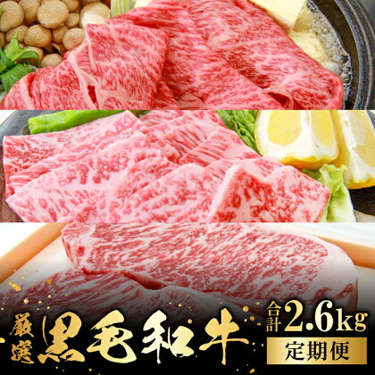 【定期便】 奥出雲和牛 肩ロース すき焼き用 550g 焼肉用 550g 赤身 すき焼き用 600g 焼肉用 600g サーロインステーキ 180g×2枚 5回定期 毎月お届け 国産 島根県産 飯南町産 肉 牛肉 スライス肉 和牛 黒毛和牛 霜降り 贅沢 新鮮 冷蔵 チルド