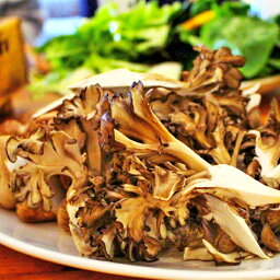 【ふるさと納税】 生舞茸 約400g 1株 国産 島根県産 飯南町産 野菜 山菜 きのこ キノコ マイタケ 肉厚 完全無農薬栽培 菌床 贅沢 バター焼き 天ぷら 炊き込みご飯 冷蔵 詰め合わせ お取り寄せ