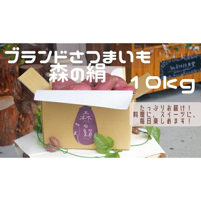 【ふるさと納税】高糖度 サツマイモ 森の絹 生イモ 10kg さつまいも 農薬不使用 有機肥料使用 シルクスイート 紅はるか 蜜 焼き芋