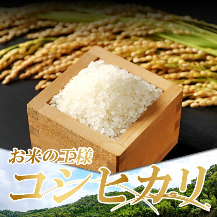 【ふるさと納税】 令和5年産 特別栽培米 コシヒカリ 2kg×4袋 合計8kg 島根県産 飯南町産 米 こしひかり 令和5年度産 2023年産 ブランド米 減農薬 減化学肥料 安心 安全 小分け 便利 贈答用 プレゼント 玄米選択可能