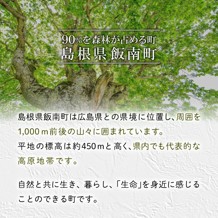 【ふるさと納税】 薪 ナラ 14kg 1箱 国産 広葉樹 天然木 楢 キャンプ アウトドア 焚火 焚き火 暖炉 インテリア 薪ストーブ 石窯 ピザ窯 乾燥 火付け 火持ち 良好 火力 高い 島根県産 飯南町産