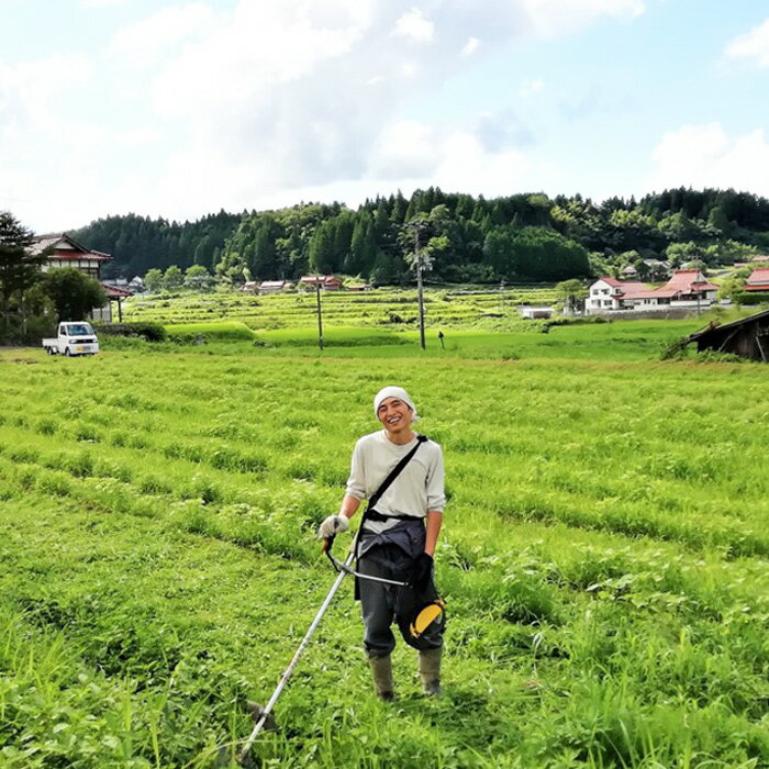 【ふるさと納税】えごま油 農と里山S-oil えごま油 6ヵ月定期便 （ 2ヵ月ごとに2本お届け ） 島根県 川本町産 贈答用