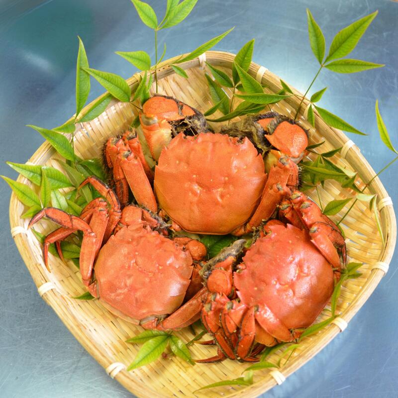 【ふるさと納税】一級河川・江の川の恵み・島根県産 / もくずがに 2kg f324418-kawamoto-10000173 島根県川本町 サンプル画像3