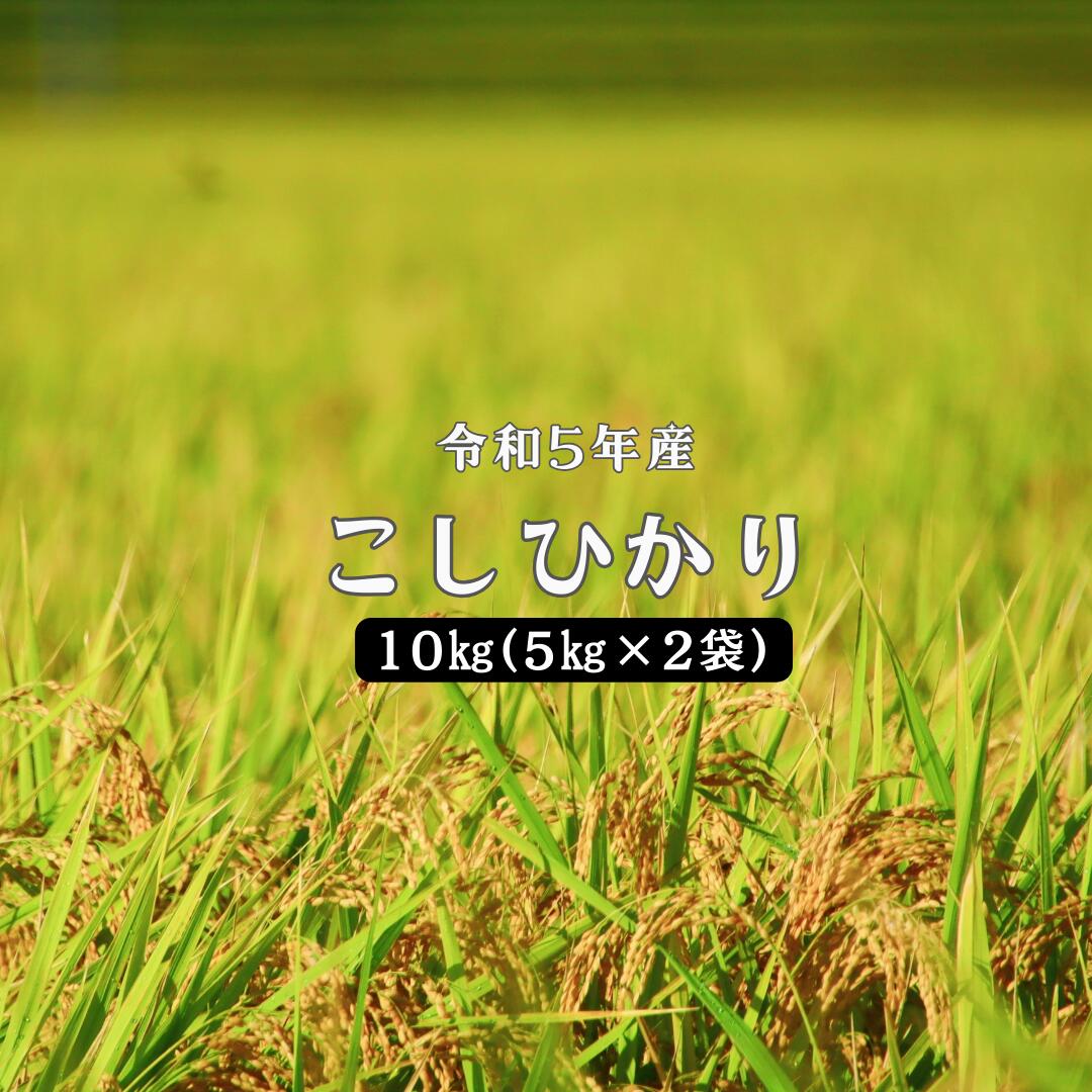 令和5年産 しまね川本 こしひかり 10kg(5kg×2) 島根県 川本町産 藤屋 石見米